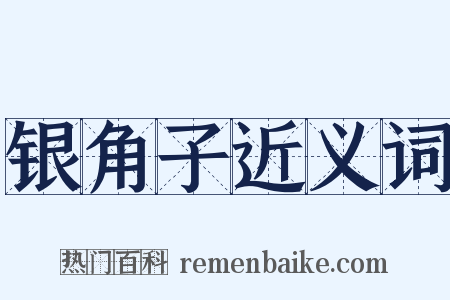 银角子近义词是什么意思的图片